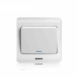 西門子遠景雅白 一位雙控大蹺板開關(guān) 帶熒光指示