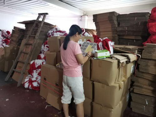 產學研融合助力鄉村振興 國際貿易學院師生暑期技術服務紀實