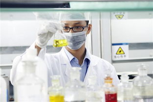 新高考“3+1+2”模式下，選定物理或歷史后，剩余兩科如何科學(xué)抉擇？—— 一份全面的信息咨詢服務(wù)指南